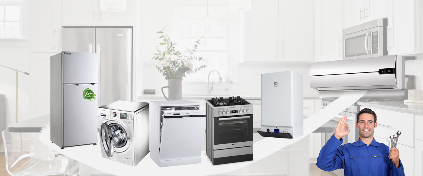 Ceyhan Daikin Servisi